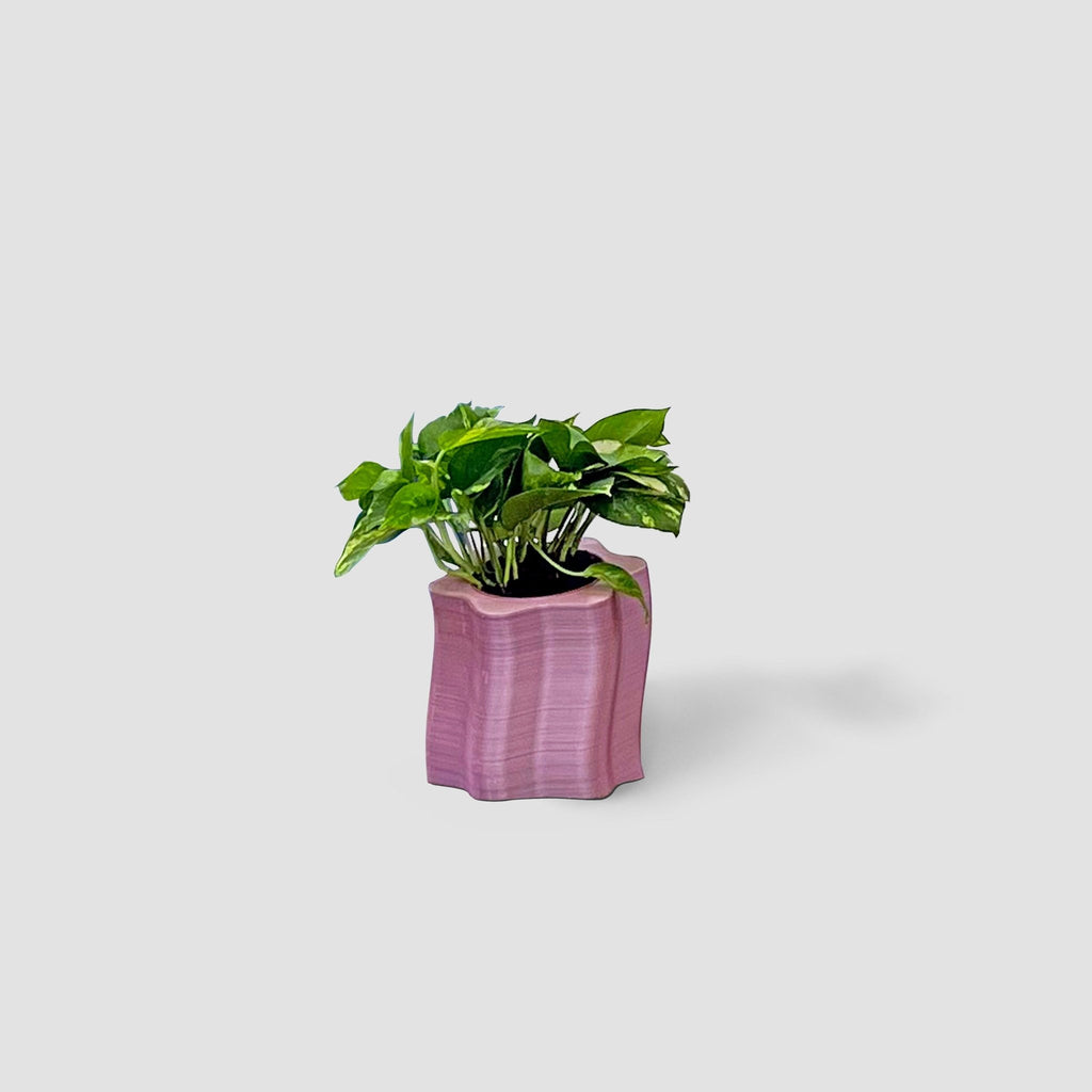 Frosting Short Planters - Form&Seek